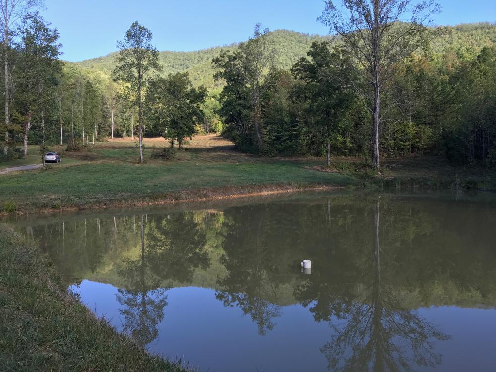 Wilhite Road Cosby, TN 37722 - Photo 3 of 10 3