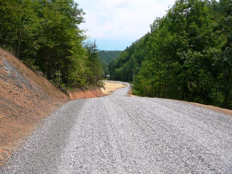 Wilhite Road Cosby, TN 37722 - Photo 4 of 10 4