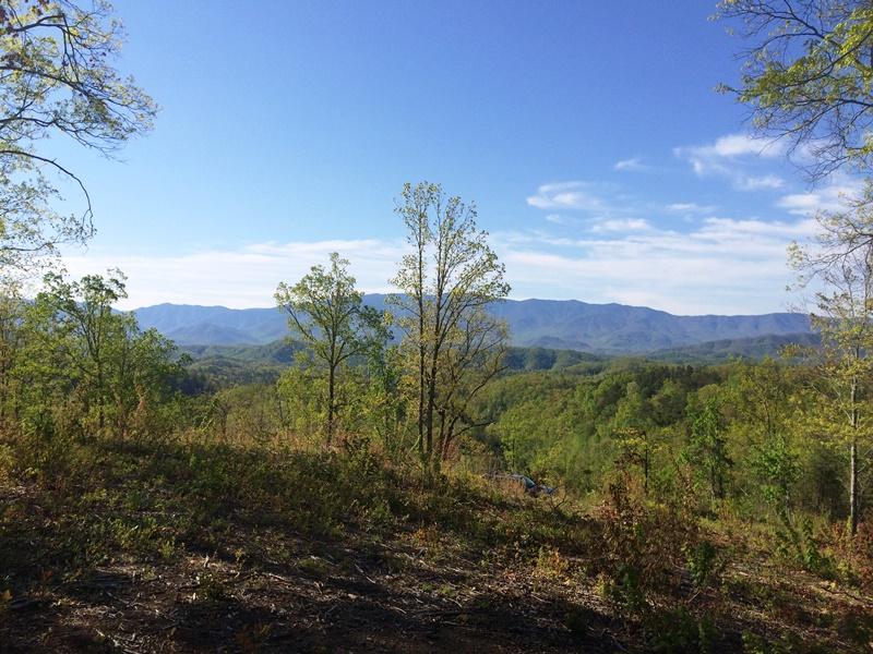 Wilhite Road Cosby, TN 37722 - Photo 5 of 10 5