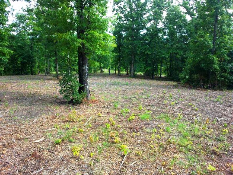 Wilhite Road Cosby, TN 37722 - Photo 7 of 10 7