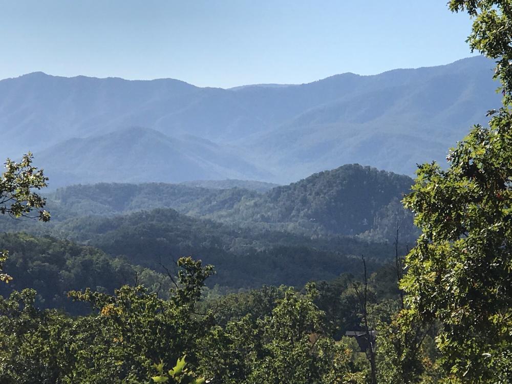 Wilhite Road Cosby, TN 37722 - Photo 10 of 10 10