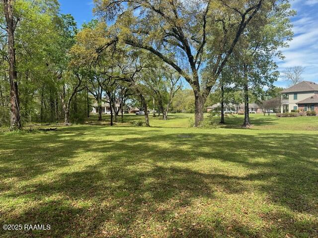 8301 River Road Abbeville, LA 70510 - Photo 12 of 15 IMG_1594