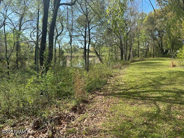 8301 River Road Abbeville, LA 70510 - Photo 13 of 15 IMG_1589