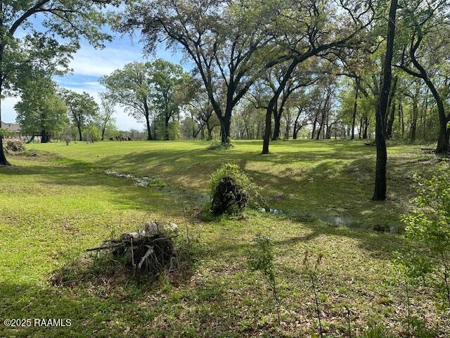 8301 River Road Abbeville, LA 70510 - Photo 15 of 15 IMG_1596