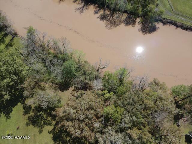 8301 River Road Abbeville, LA 70510 - Photo 7 of 15 2025-03-24-11-33-54-749