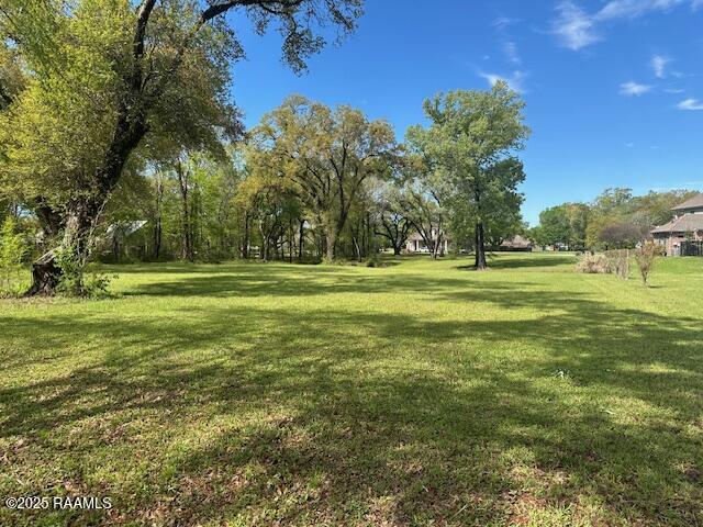 8301 River Road Abbeville, LA 70510 - Photo 9 of 15 IMG_1590