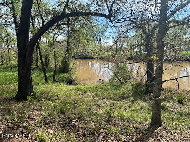 8301 River Road Abbeville, LA 70510 - Photo 10 of 15 IMG_1592