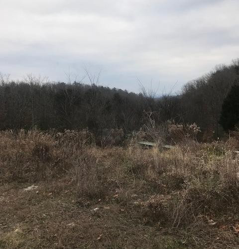360 Midway Road Winchester, KY 40391 - Photo 8 of 8 Photo 8