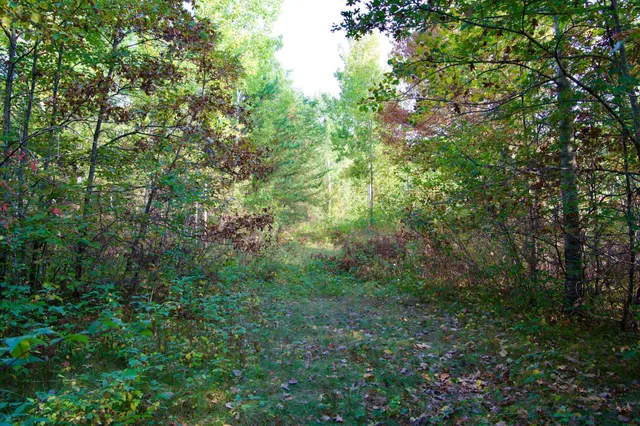 $475,000 | 371 Brainerd Mn 56401, Brainerd, MN 56401