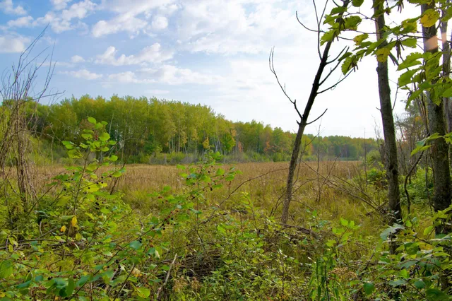 $475,000 | 371 Brainerd Mn 56401, Brainerd, MN 56401