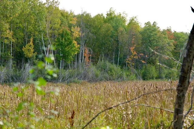 $475,000 | 371 Brainerd Mn 56401, Brainerd, MN 56401