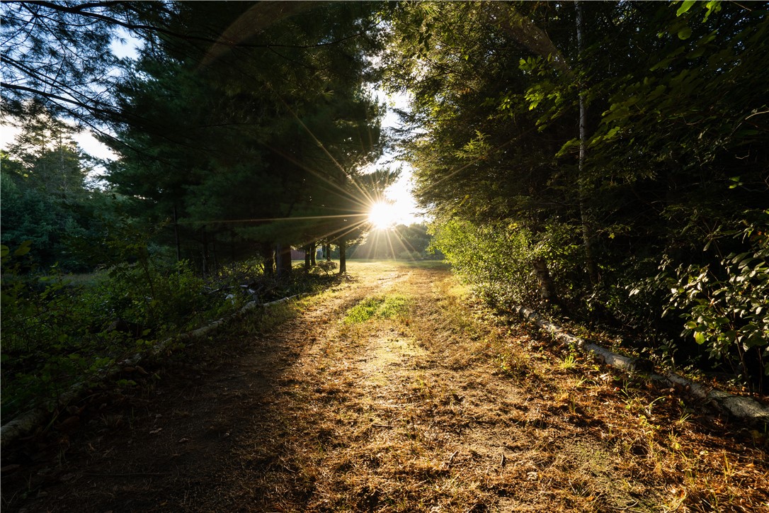 774 Cooper Road Glocester, RI 02814 - Photo 30 of 37