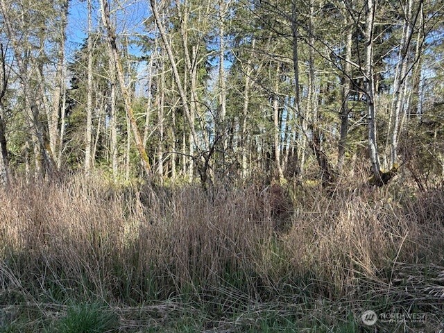 16 Ander Park Road Freeland, WA 98249 - Photo 3 of 5