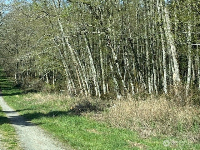 16 Ander Park Road Freeland, WA 98249 - Photo 4 of 5