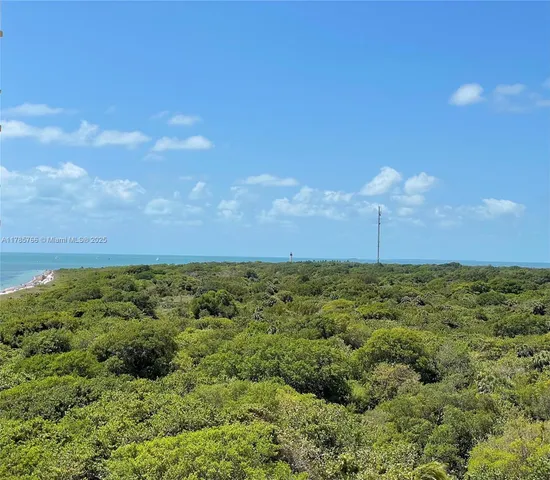 a view of a big yard with lots of green space