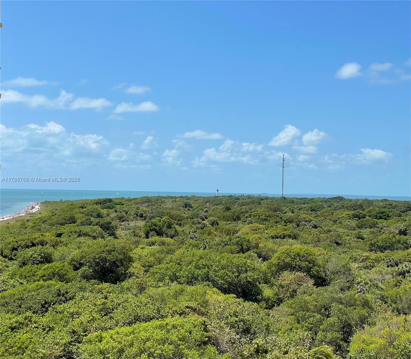 1111 Crandon Boulevard, Unit B804 Key Biscayne, FL 33149 - Photo 7 of 19 a view of a big yard with lots of green space