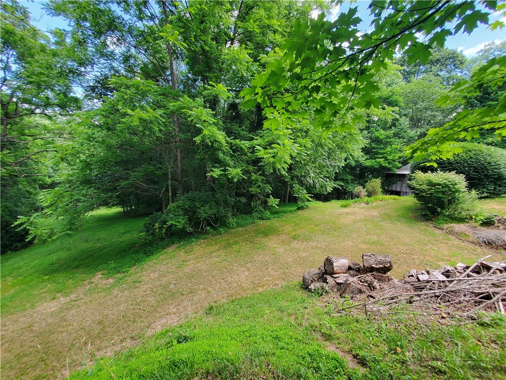 886 Hanging Rock Road Spruce Pine, NC 28777 - Photo 16 of 50