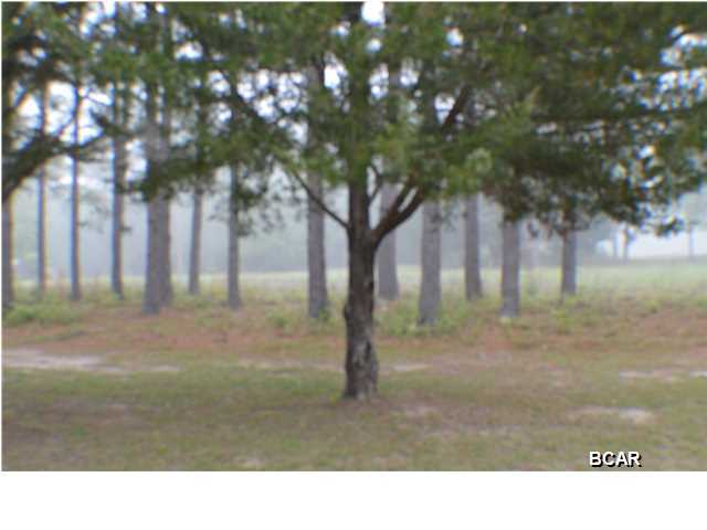 852 Hutchinson Road Chipley, FL 32428 - Photo 5 of 21 Gallery Image 5