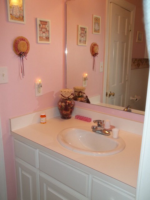8678 Tyson Farm Road Stantonsburg, NC 27883 - Photo 11 of 11 Additional Photo