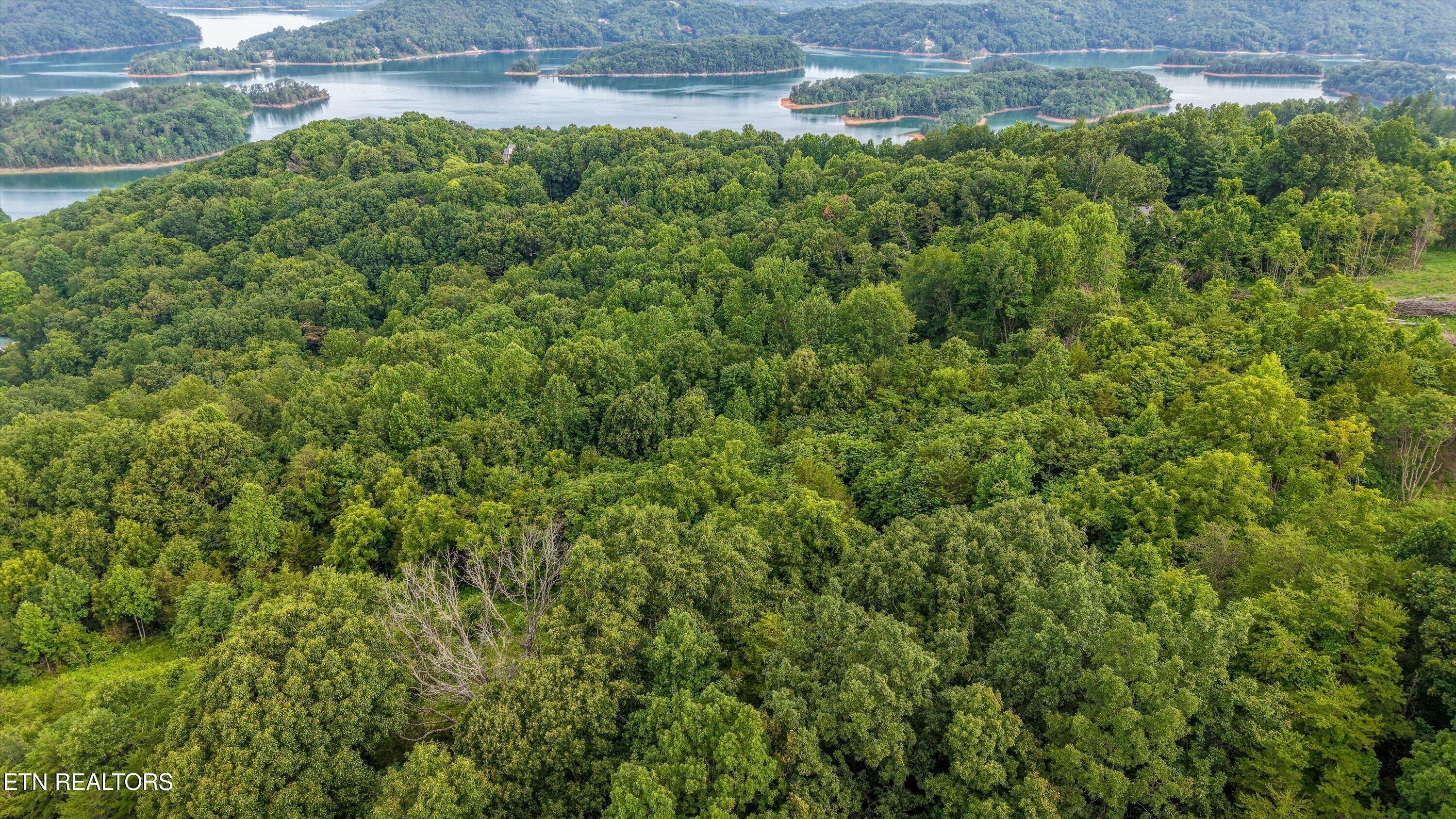 Lot 2 Graves Hollow Road Maynardville, TN 37807 - Photo 5 of 8 5-Graves Hollow Rd05