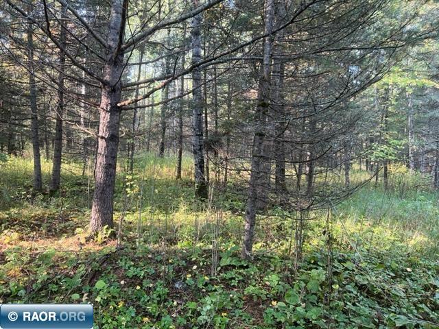 4707 Trigstad Road Aurora, MN 55705 - Photo 11 of 17