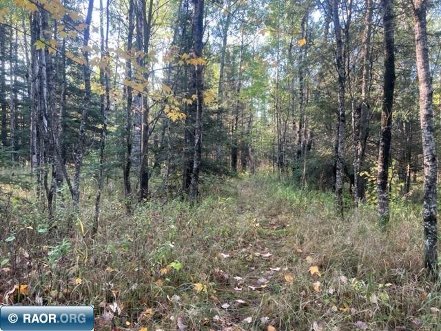 4707 Trigstad Road Aurora, MN 55705 - Photo 14 of 17