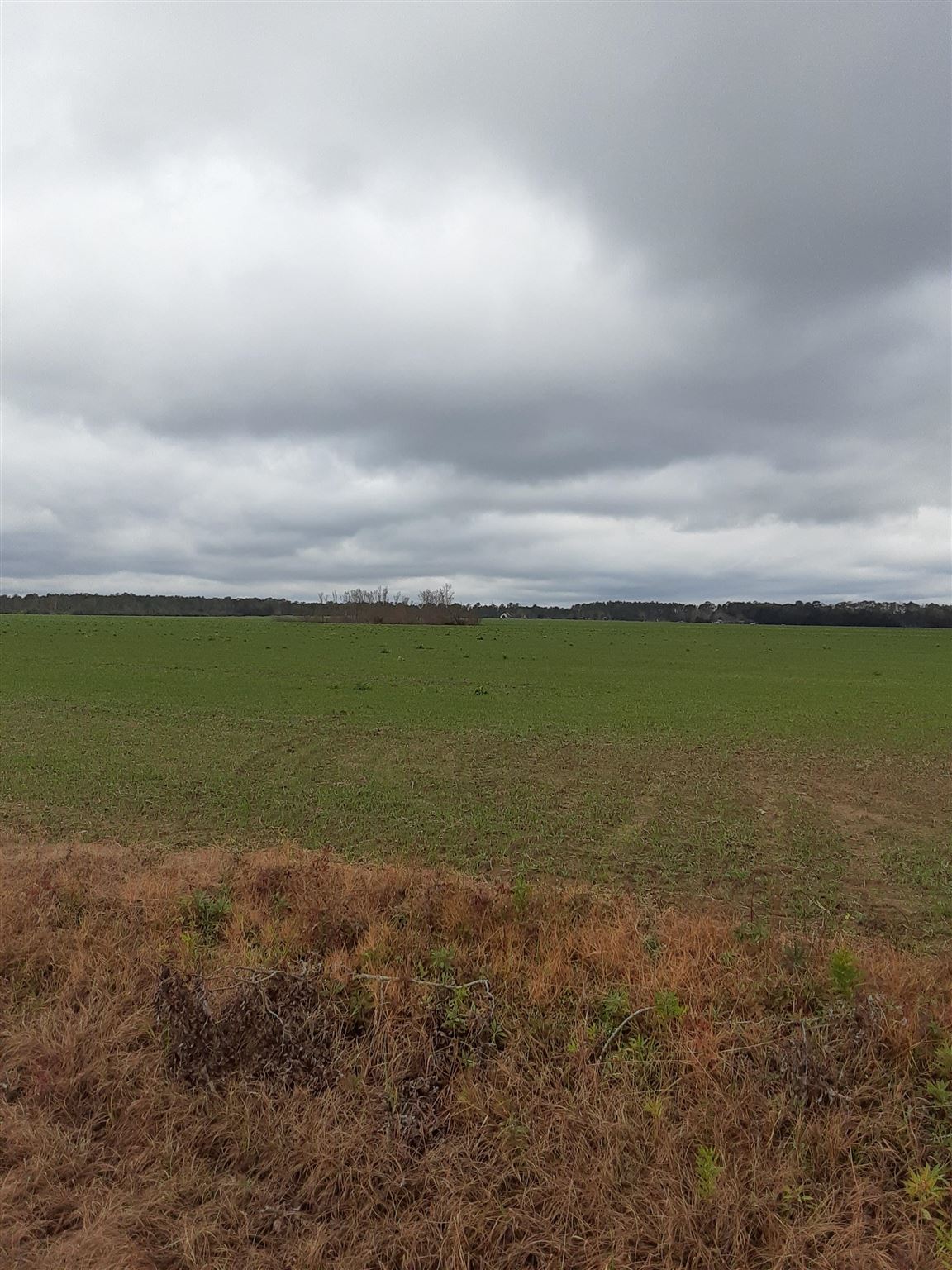 13501 Underwood Road Summerdale, AL 36580 - Photo 3 of 10
