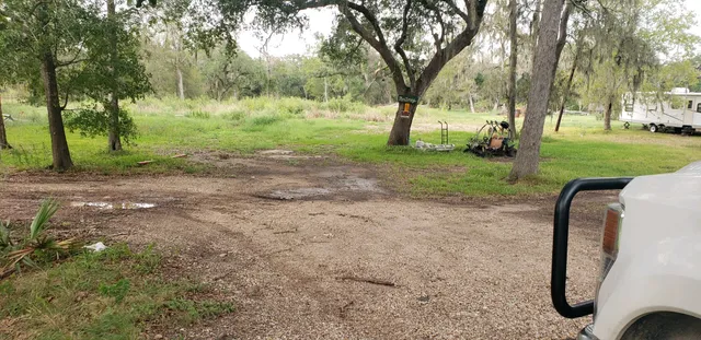 a view of a yard with tree s