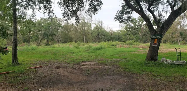 a view of outdoor space with trees all around