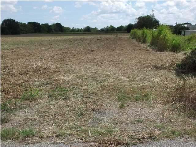 0 La Maison Road Duson, LA 70529 - Photo 2 of 3 Additional Photo