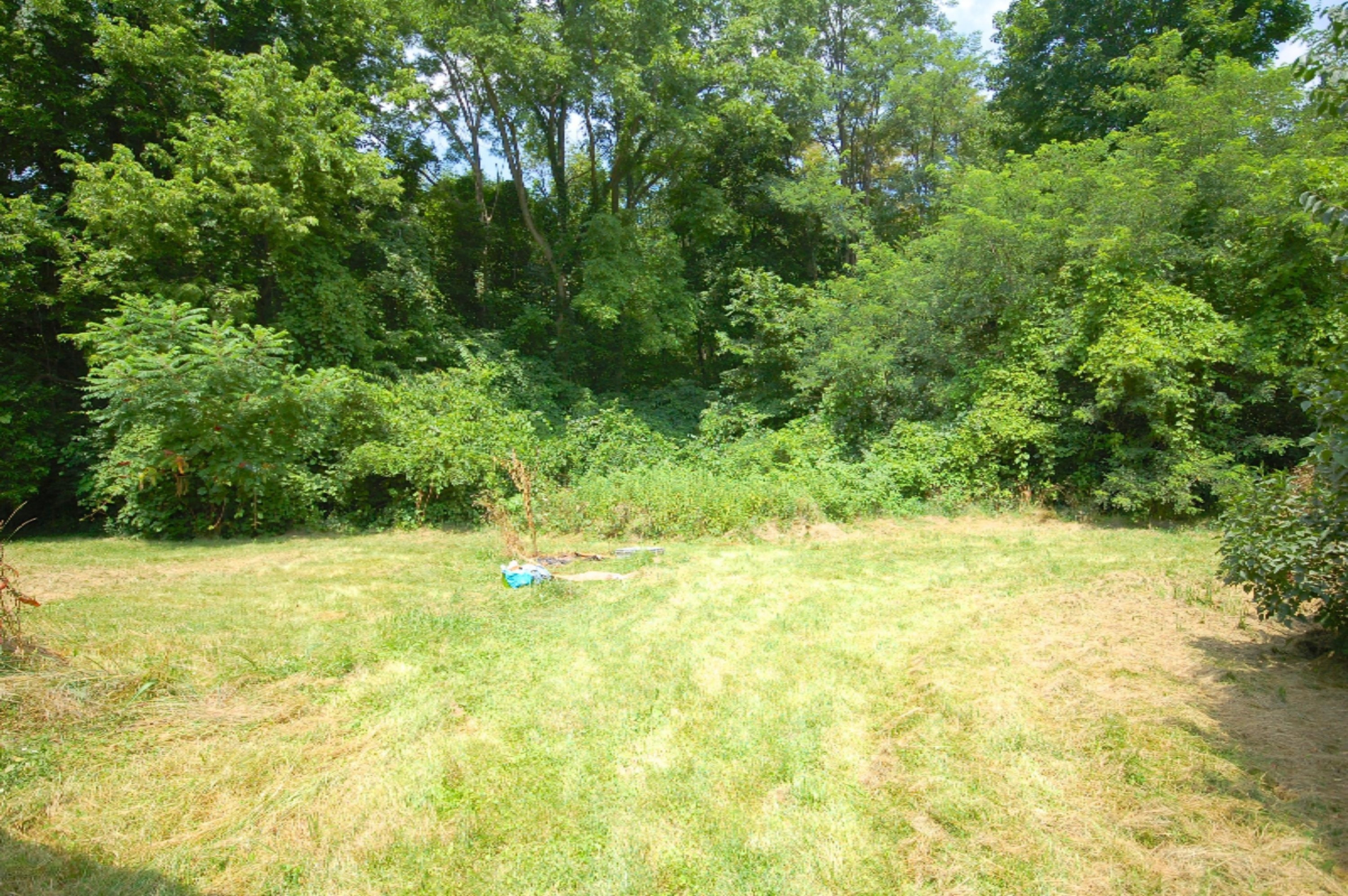 10166 Range Line Road Berrien Springs, MI 49103 - Photo 4 of 17 10166 Range Line Road_04
