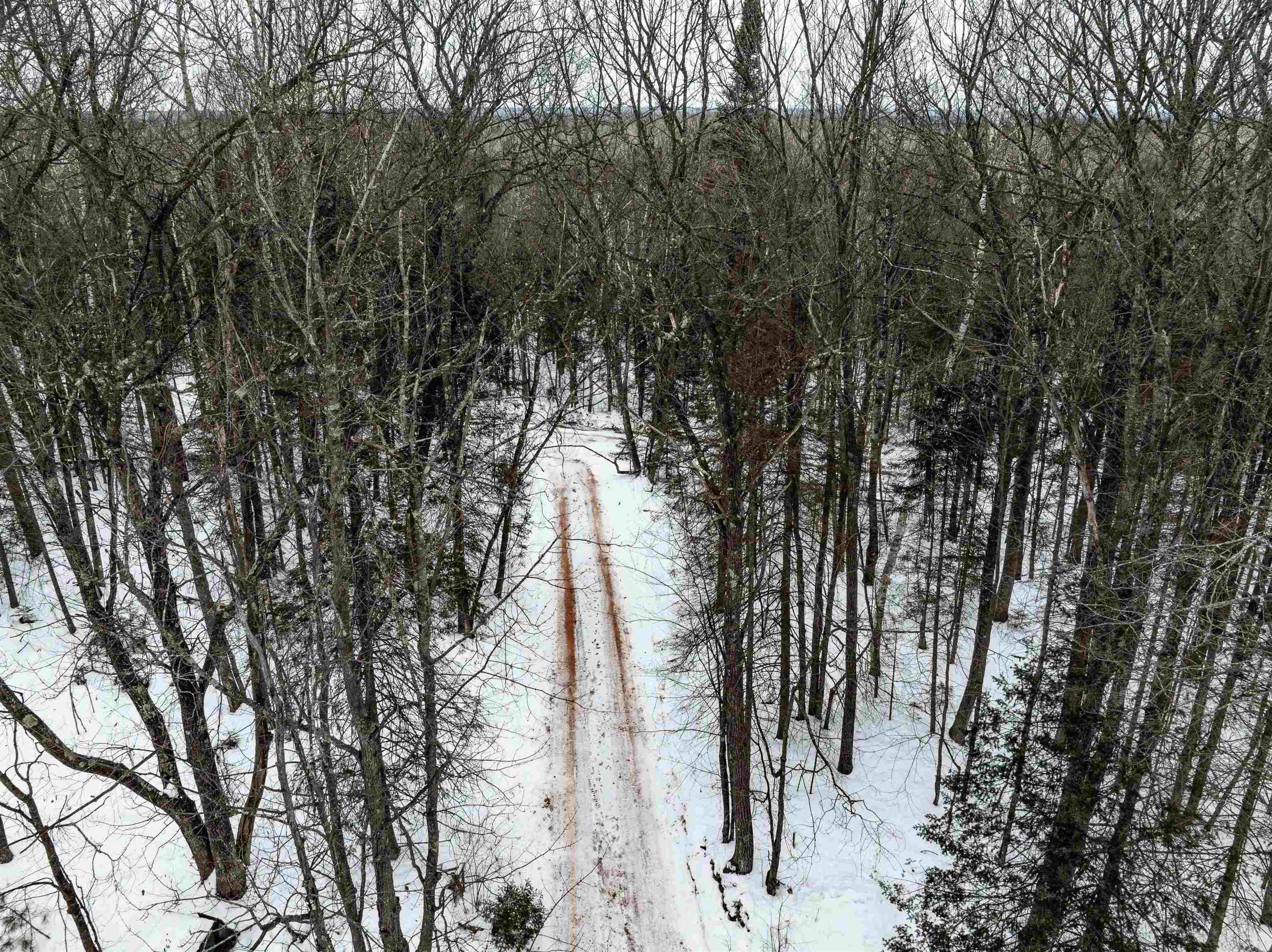 1024 Sorenson Road Holyoke, MN 55749 - Photo 70 of 91