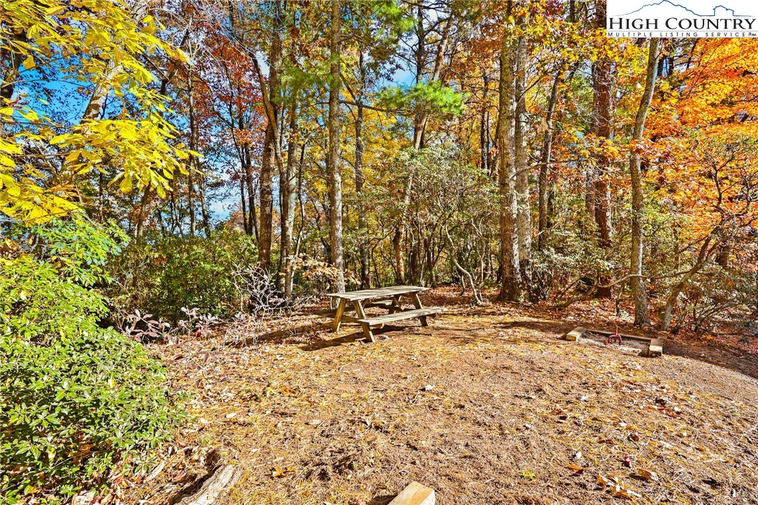 675 Cabin Ridge Road Ferguson, NC 28624 - Photo 40 of 50 a view of tree with wooden fence