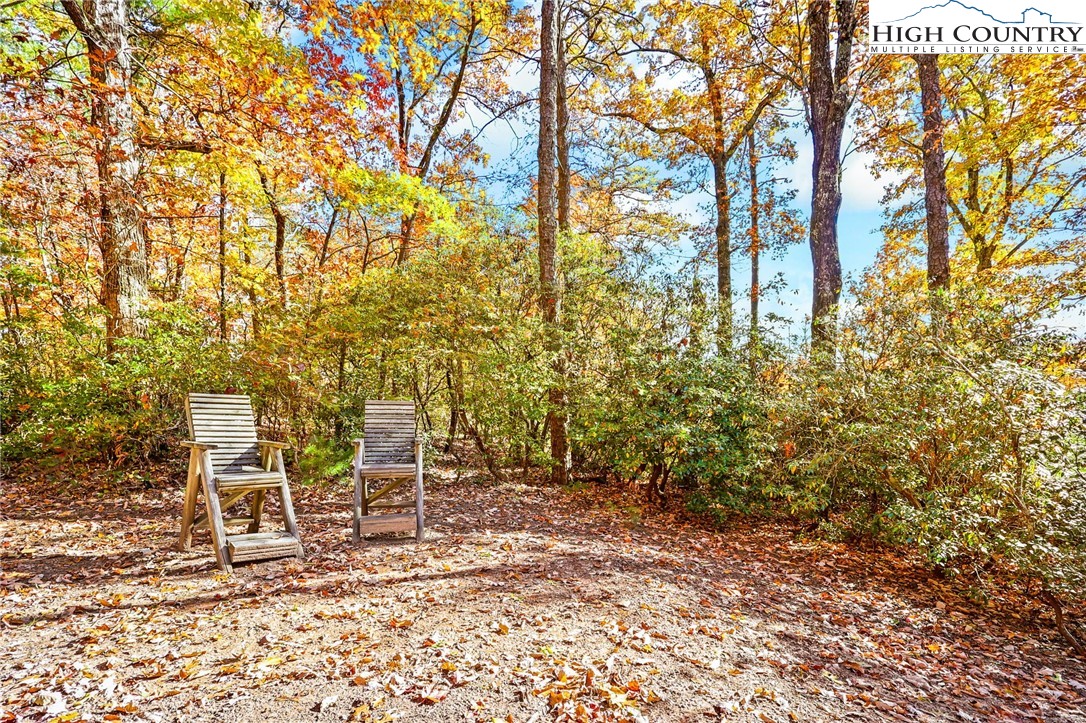 675 Cabin Ridge Road Ferguson, NC 28624 - Photo 41 of 50 a view of outdoor space with chairs