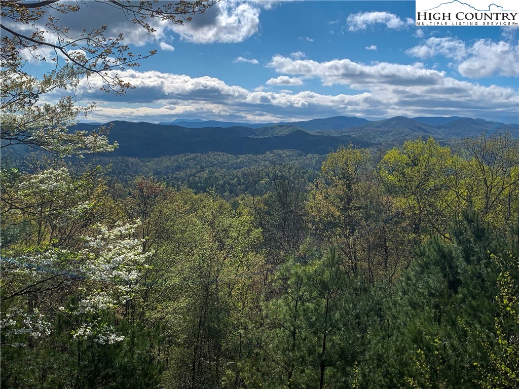 675 Cabin Ridge Road Ferguson, NC 28624 - Photo 42 of 50 a view of a yard of a building