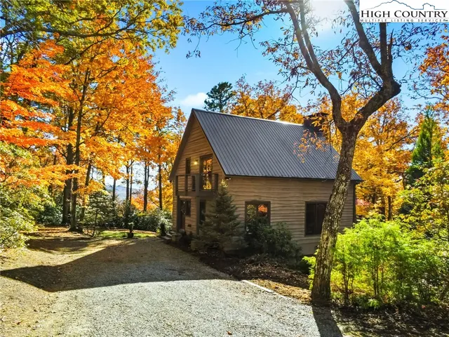 a view of a yard with plants and large trees