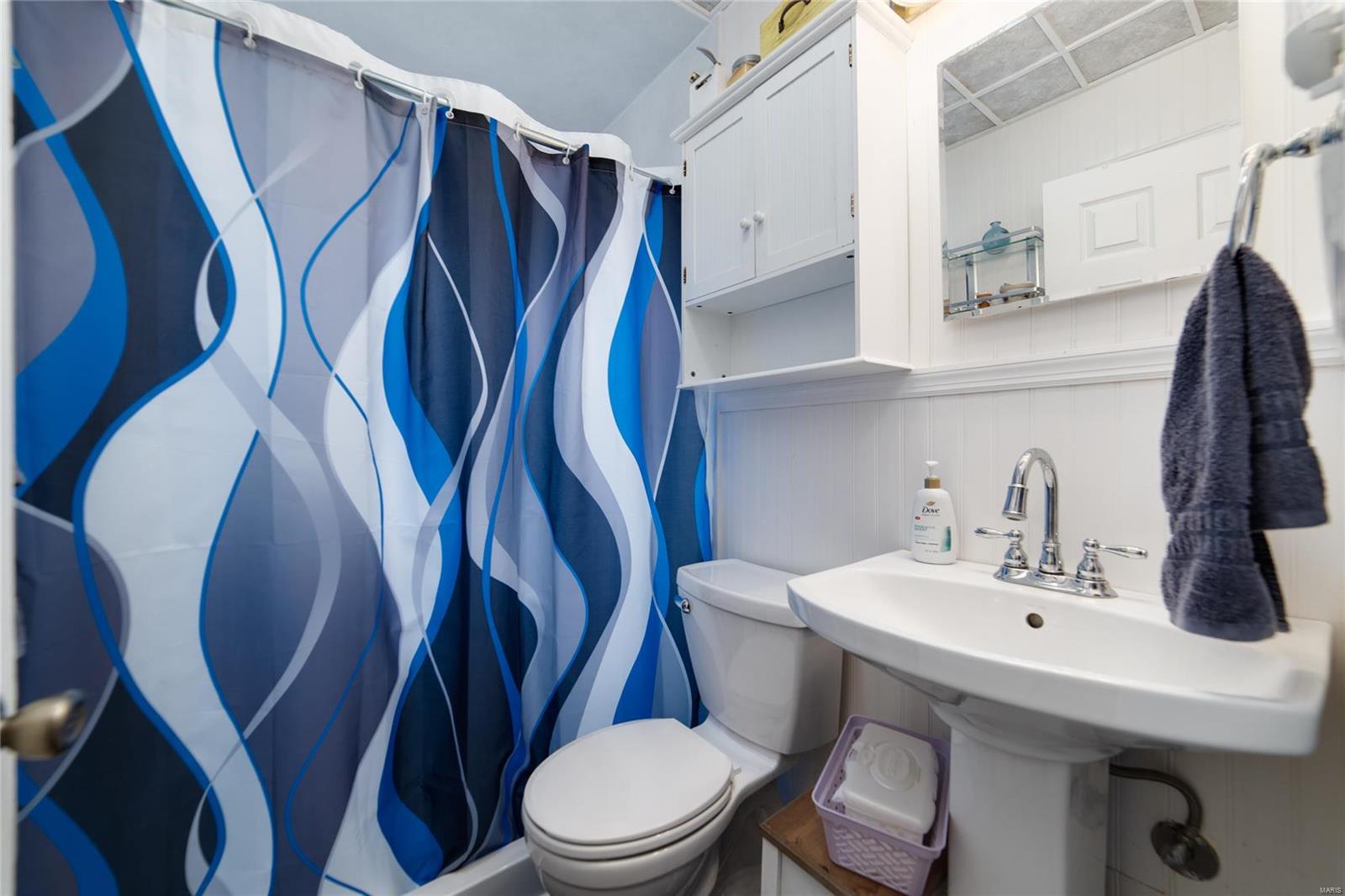 2919 Hilleman Avenue St. Louis, MO 63114 - Photo 13 of 38