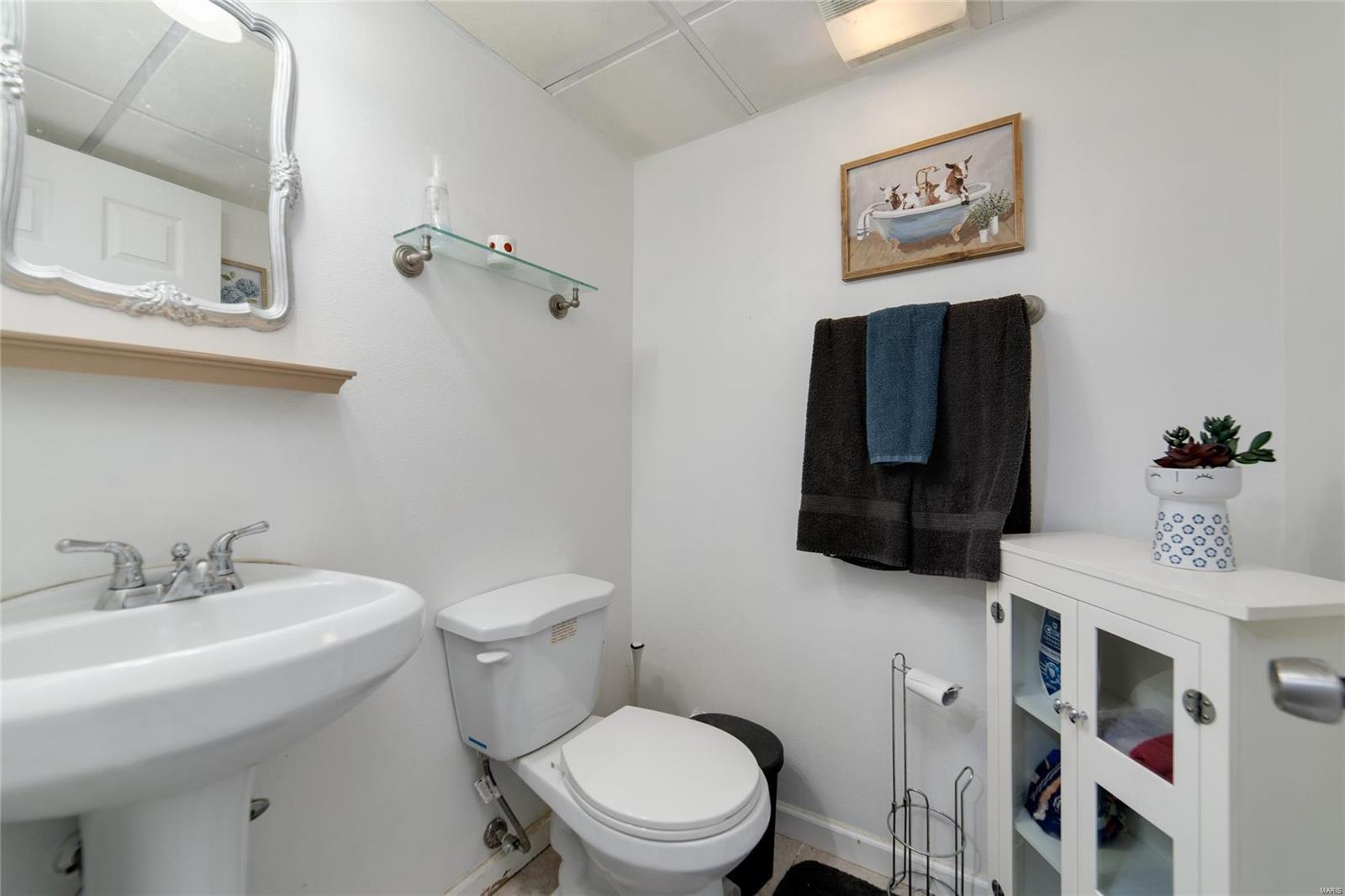 2919 Hilleman Avenue St. Louis, MO 63114 - Photo 22 of 38