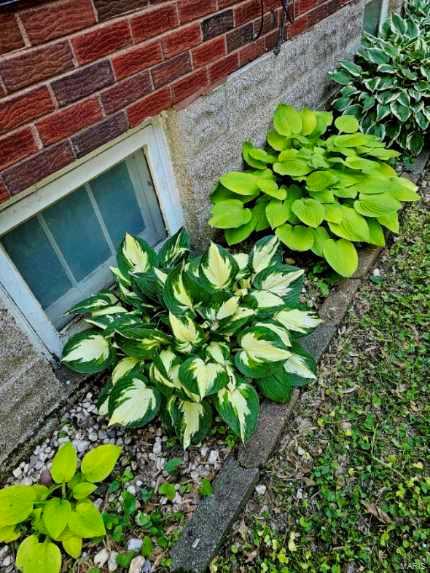 2919 Hilleman Avenue St. Louis, MO 63114 - Photo 32 of 38