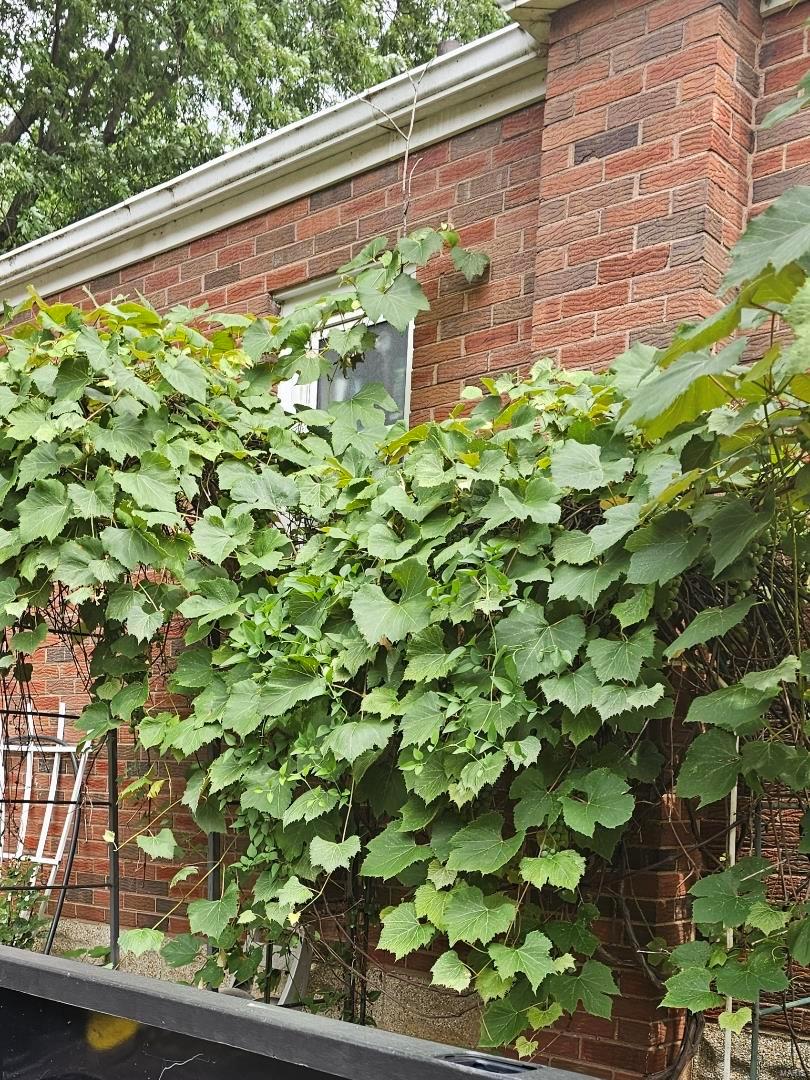 2919 Hilleman Avenue St. Louis, MO 63114 - Photo 34 of 38