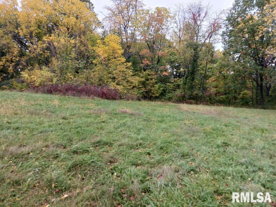 Lot 1 Ricker Hill Road Davenport, IA 52802 - Photo 2 of 7 Gallery Image 2