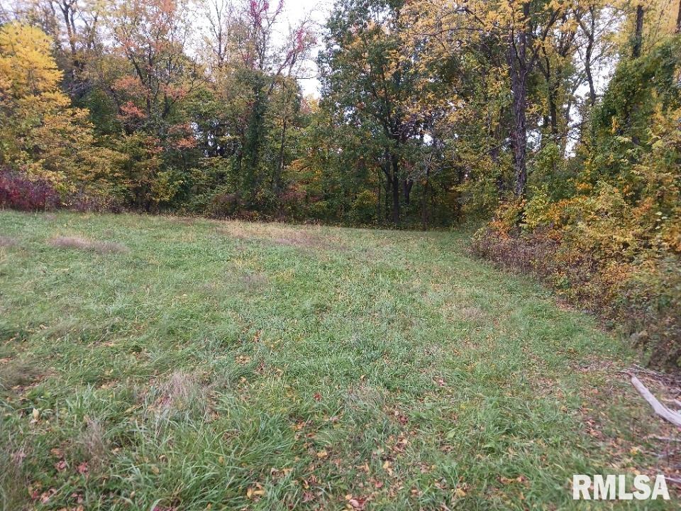 Lot 1 Ricker Hill Road Davenport, IA 52802 - Photo 4 of 7 Gallery Image 4
