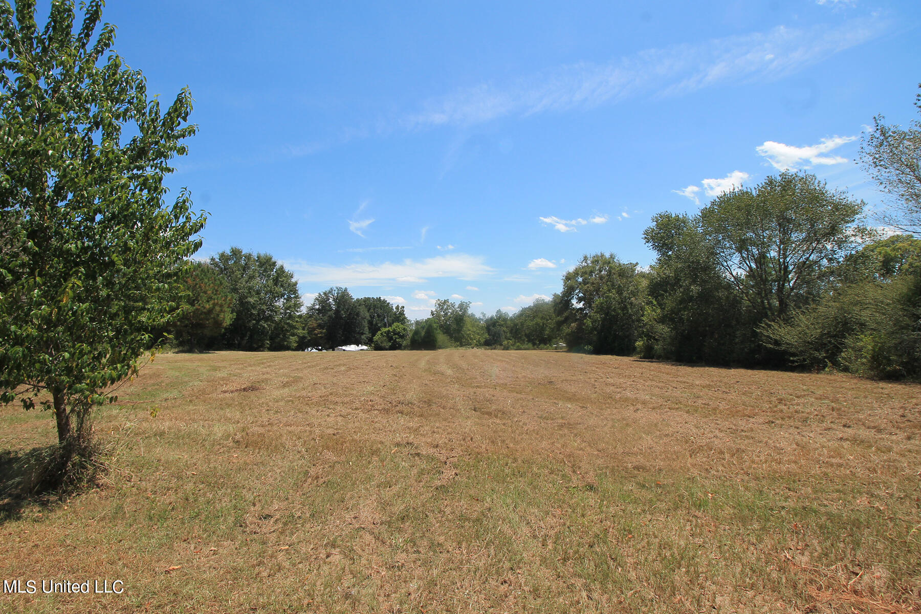 1102 Cecil Havard Road Lucedale, MS 39452 - Photo 3 of 45 1 (3)