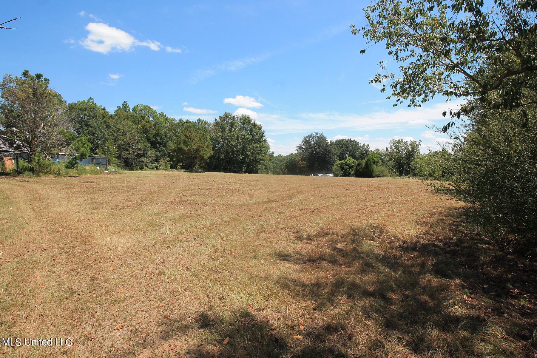 1102 Cecil Havard Road Lucedale, MS 39452 - Photo 39 of 45 6 (3)