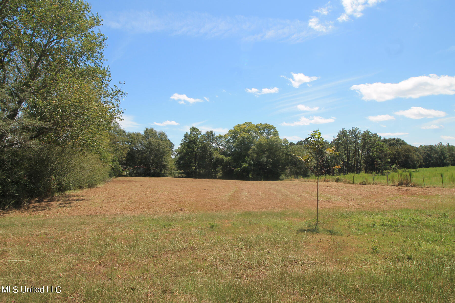 1102 Cecil Havard Road Lucedale, MS 39452 - Photo 4 of 45 1 (4)