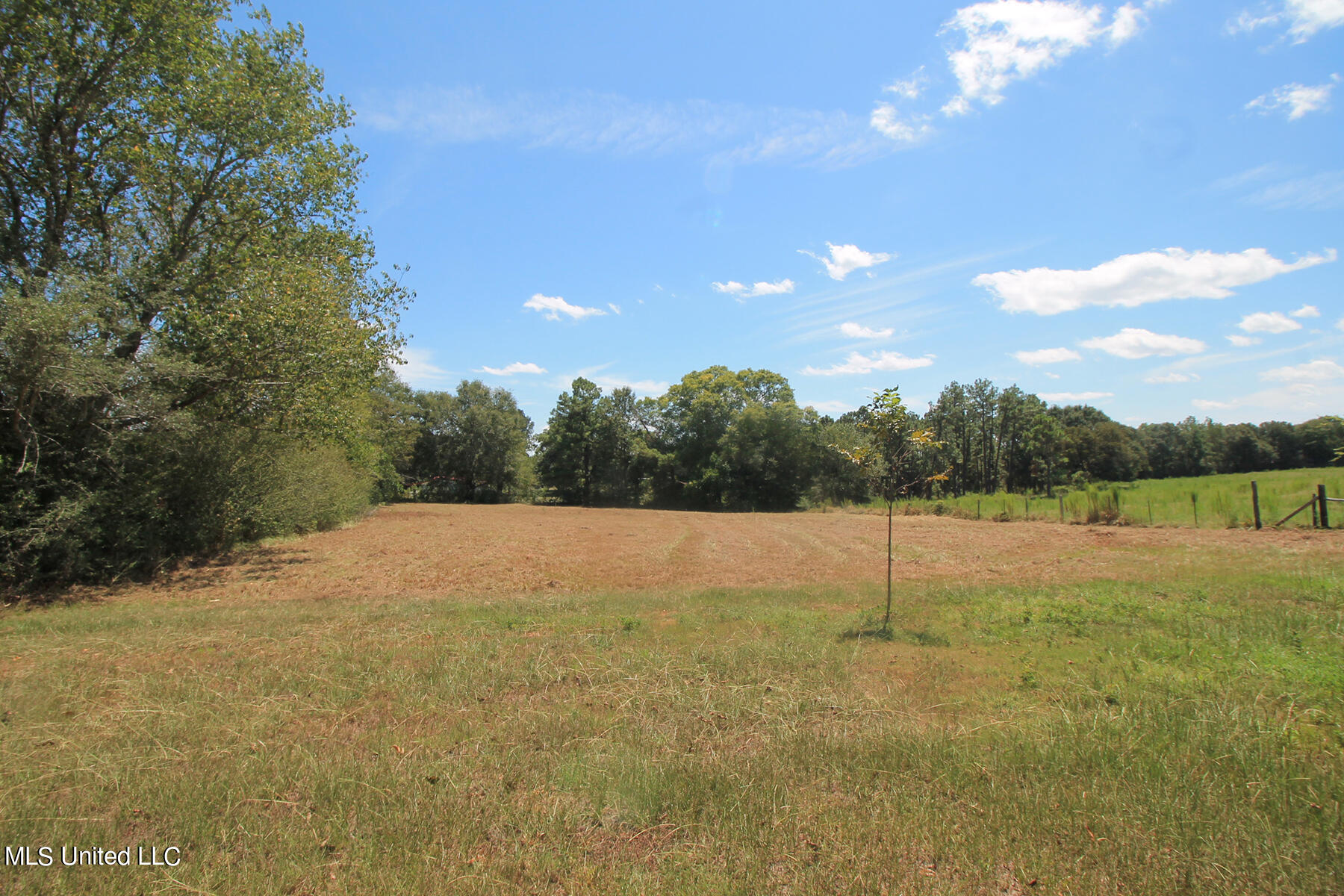 1102 Cecil Havard Road Lucedale, MS 39452 - Photo 41 of 45 6 (6)