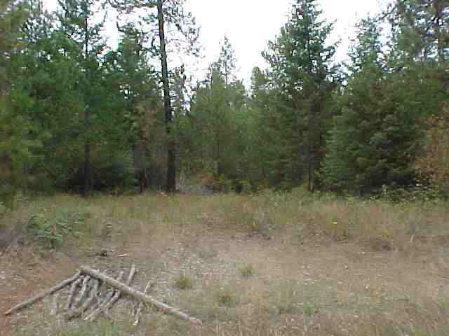 4418 Stephenson Road Clayton, WA 99110 - Photo 8 of 9