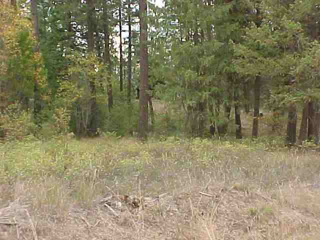 4418 Stephenson Road Clayton, WA 99110 - Photo 9 of 9
