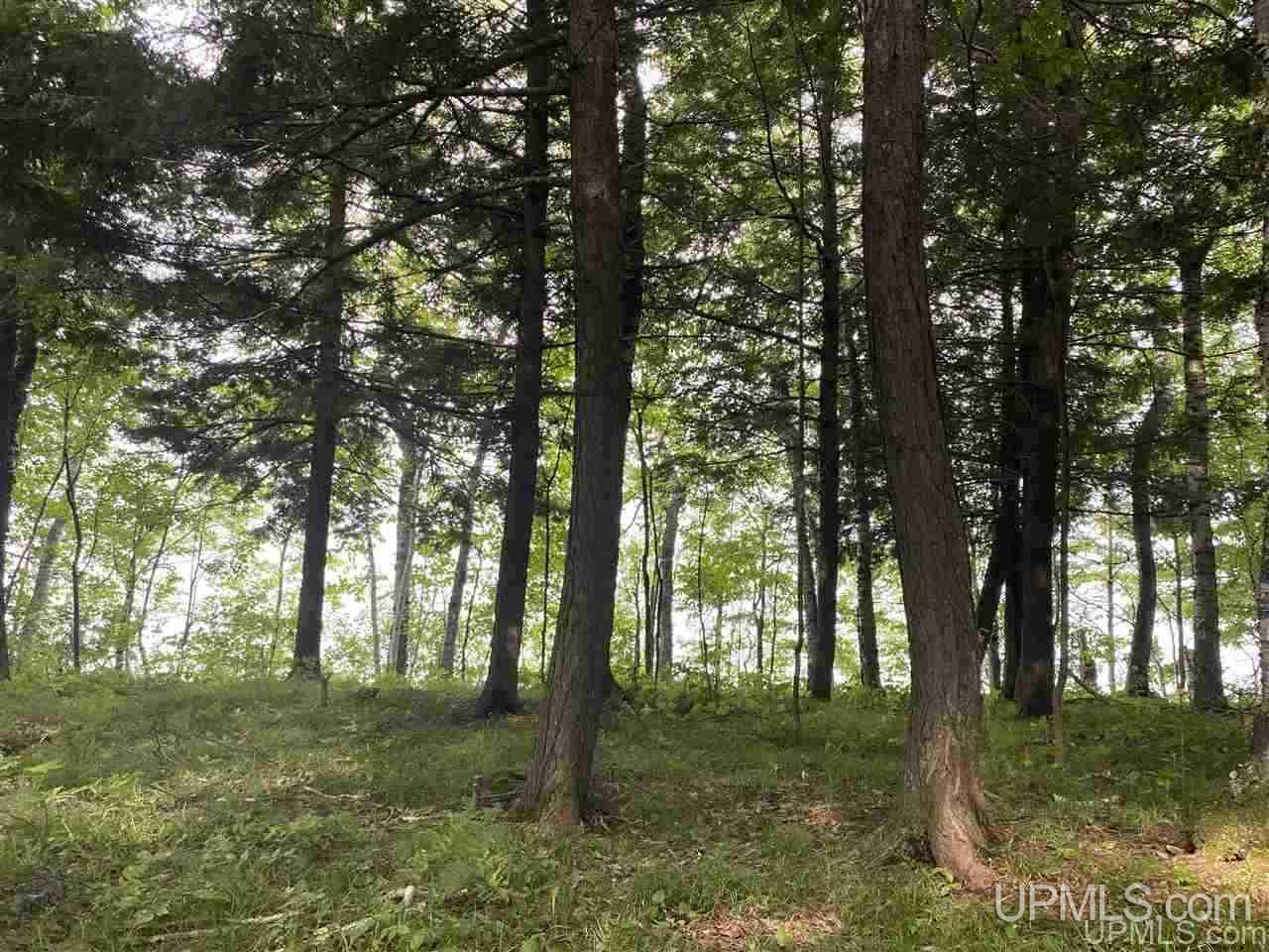 Lot #b Lot Road Marenisco, MI 49947 - Photo 8 of 11