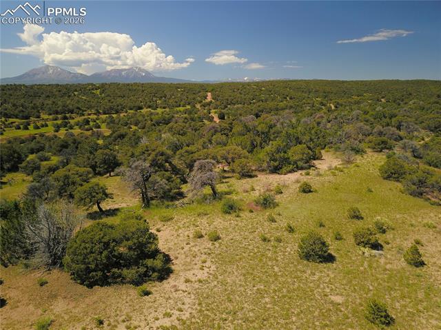 Williams Road Walsenburg, CO 81089 - Photo 15 of 19 Gallery Image 15